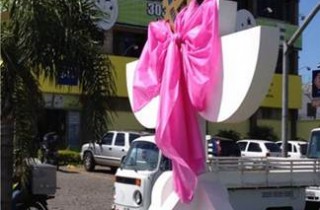 ft_outubro_rosa_01