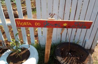 13 de setembro. horta comunitaria 3