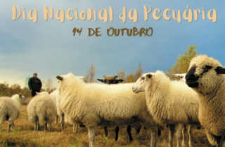 14 de outubro. dia da pecuaria