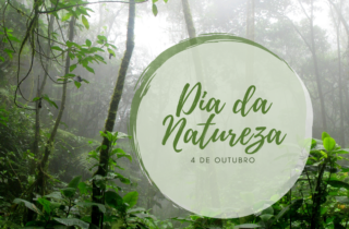 4 de outubro. dia do meio ambiente