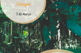 3 de marco. dia da vida selvagem