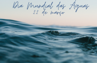 22 de marco. dia mundial das aguas