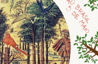 3 de maio. dia do pau brasil